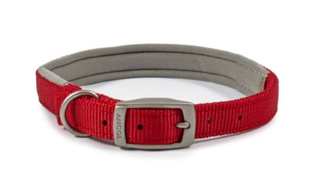 Viva Padded Dog Collar Size 4.