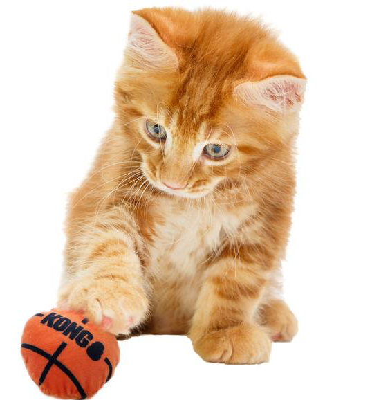 KONG Cat Sport Balls (Catnip)
