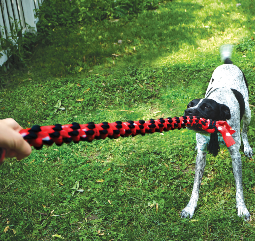 Kong Signature Rope Knot