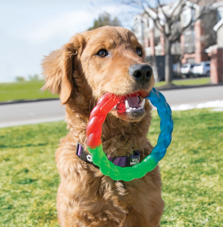 Kong Twistz Ring