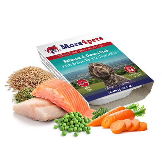 Salmon & Ocean Fish with Brown Rice & Vegetables (Wet Tray) 395g