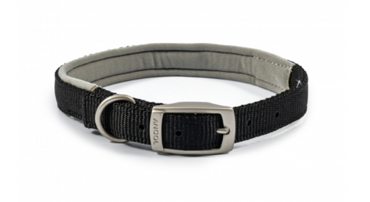 Viva Padded Dog Collar Size 4.